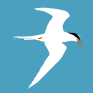 tern.png